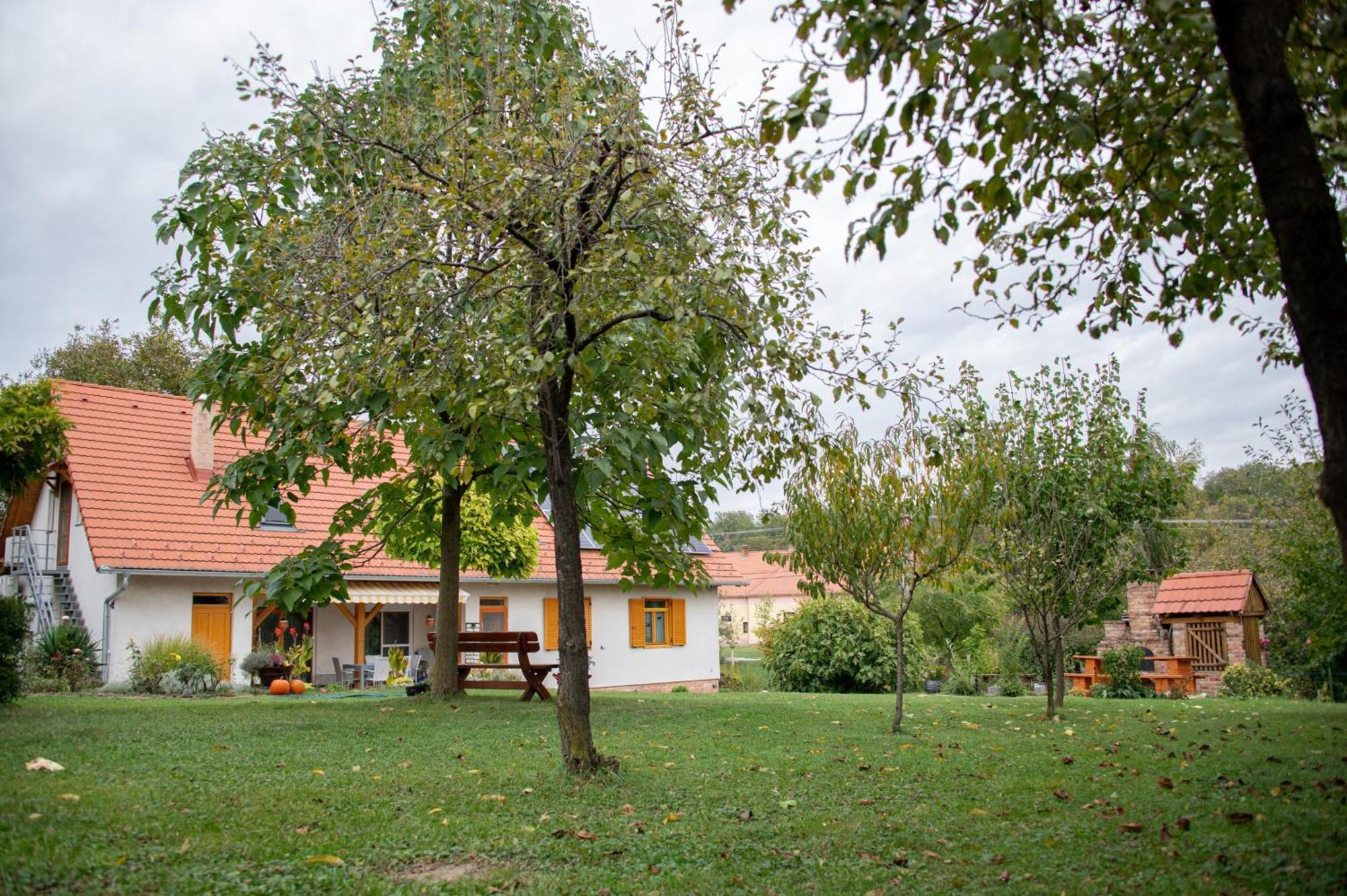 Hotel Rozmaring Vendeghaz Zengővárkony Zewnętrze zdjęcie