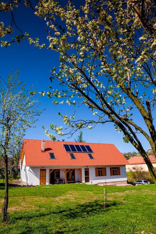 Hotel Rozmaring Vendeghaz Zengővárkony Zewnętrze zdjęcie